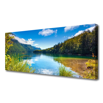 Vászonkép Természet-hegység Forest Lake