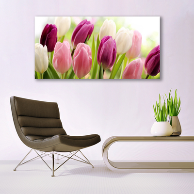 Vászonfotó Tulipán virágok természet Meadow