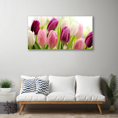 Vászonfotó Tulipán virágok természet Meadow