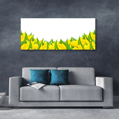 Canvas kép Tulipán virágok természet