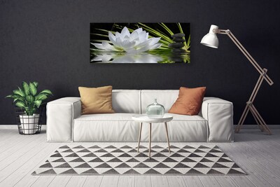 Vászonkép Tavirózsa Flowers