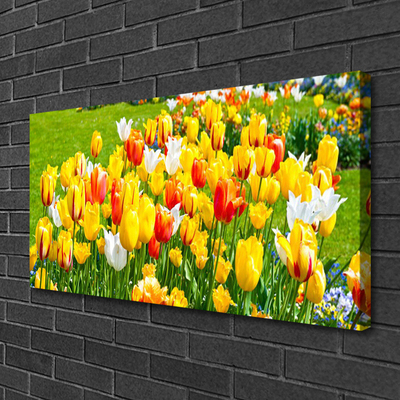 Vászonkép Tulipán virágok természet