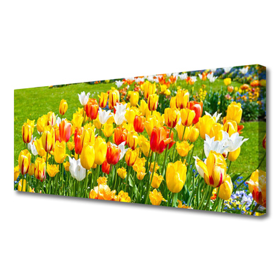 Vászonkép Tulipán virágok természet