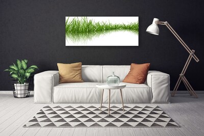 Canvas kép Grass Nature Plant