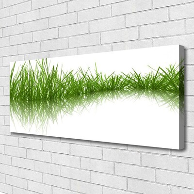 Canvas kép Grass Nature Plant
