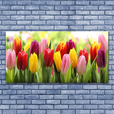 Vászonfotó Tulipán virágok természet