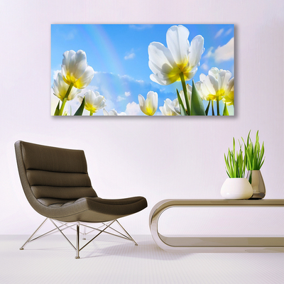 Vászonkép Növények Flowers Tulipán