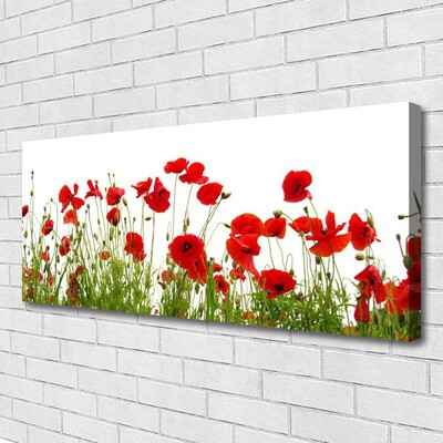 Vászonkép falra Pipacsok virágok természet Plant