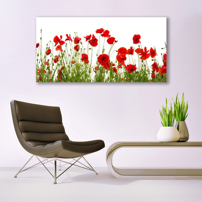 Vászonkép falra Pipacsok virágok természet Plant