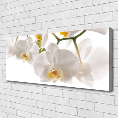 Vászonkép falra Orchidea virágok Természet