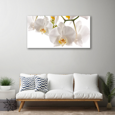 Vászonkép falra Orchidea virágok Természet