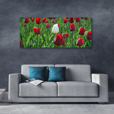 Vászonfotó Tulipán virágok természet