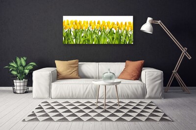 Canvas kép Tulipán virágok természet