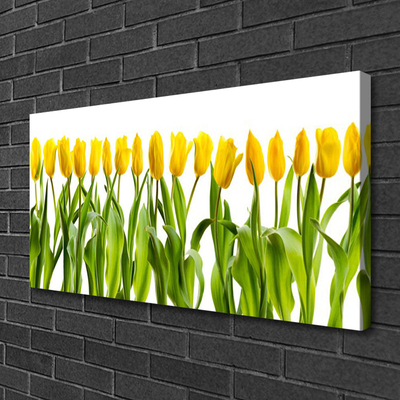 Vászonkép falra Tulipán virágok természet