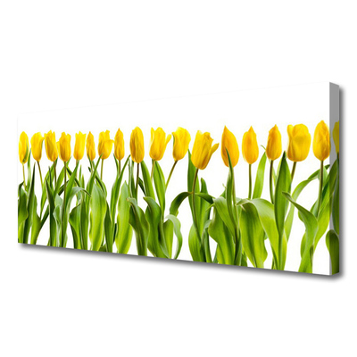 Vászonkép falra Tulipán virágok természet