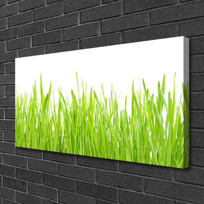 Vászonkép falra Grass Nature Plant