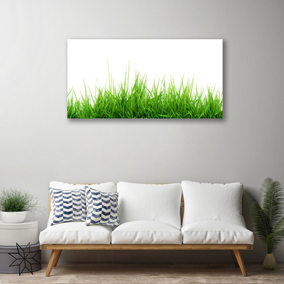 Vászonkép nyomtatás Grass Nature Plant