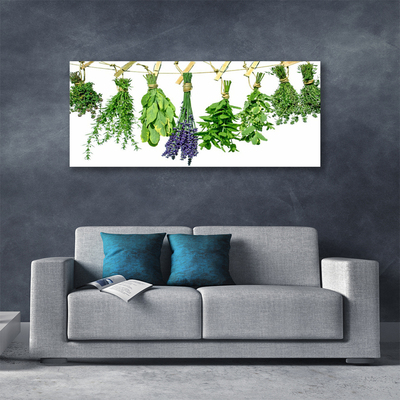 Vászonfotó Szirmok virágok Gyógynövények