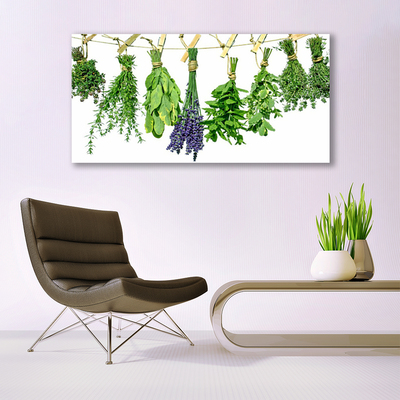 Vászonfotó Szirmok virágok Gyógynövények