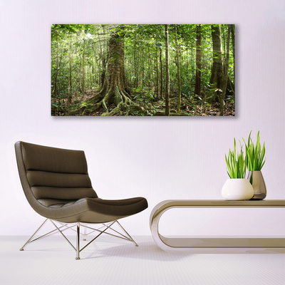 Vászonkép nyomtatás Nature Jungle Erdei fák