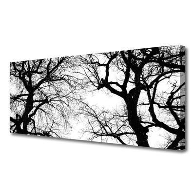 Vászonkép Fák Természet fekete-fehér