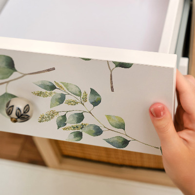 Samolepiaca fólia na nábytok Botanikai levelek