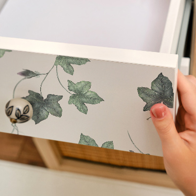 Samolepiaca fólia na nábytok Borostyán levelek