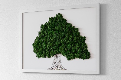 Moha kép Egy fa gyökerei fehér alapon