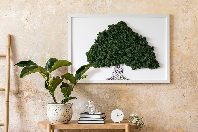 Moha kép Egy fa gyökerei fehér alapon