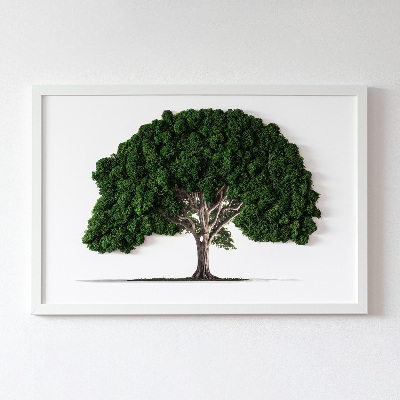 Élő moha kép Egy fa fehér alapon