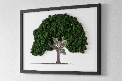 Élő moha kép Egy fa fehér alapon