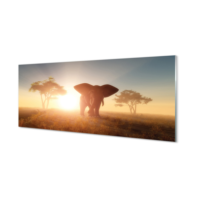 Üvegképek Elefánt fa keletre