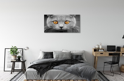 Üvegképek Gray brit macska