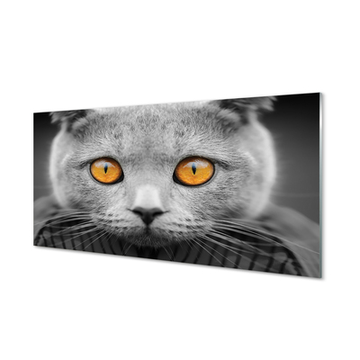 Üvegképek Gray brit macska