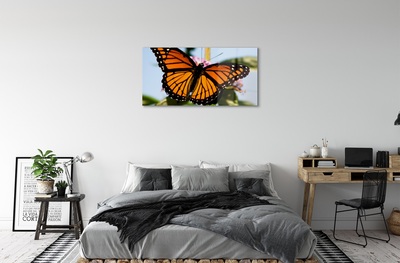 Üvegképek színes pillangó