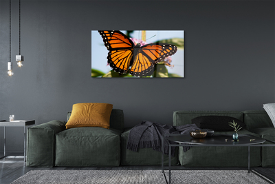 Üvegképek színes pillangó