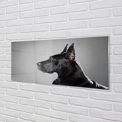 Üvegképek Fekete kutya