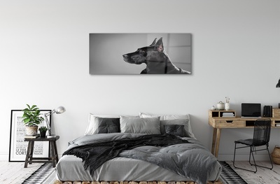 Üvegképek Fekete kutya