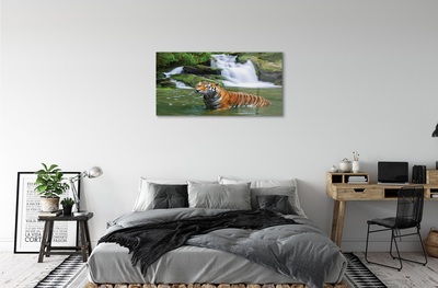 Üvegképek tigris vízesés