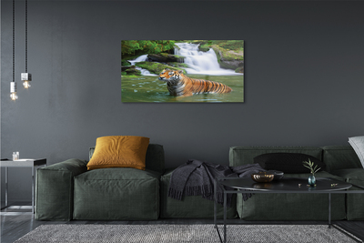 Üvegképek tigris vízesés