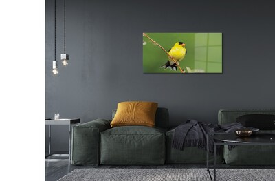 Üvegképek sárga papagáj