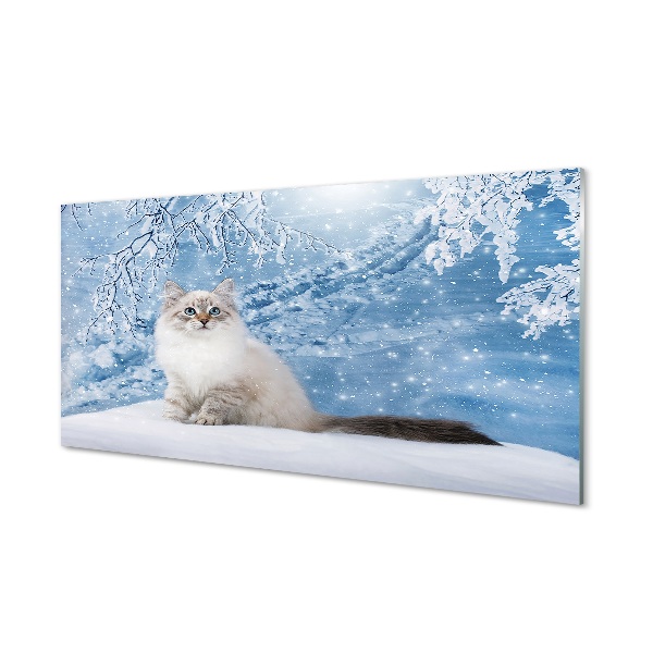 Üvegképek macska télen
