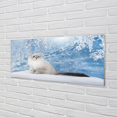 Üvegképek macska télen