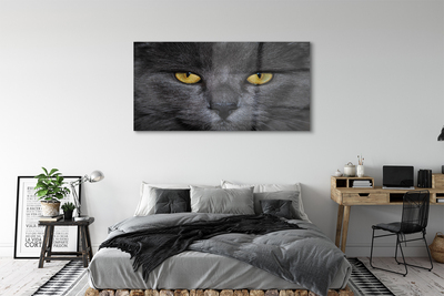 Üvegképek Fekete macska
