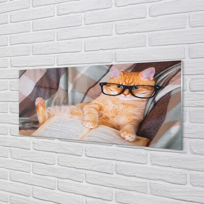 Üvegképek Az olvasó macska