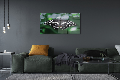 Üvegképek Színes pillangó levelek