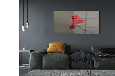 Üvegképek Piros papagáj egy ágon
