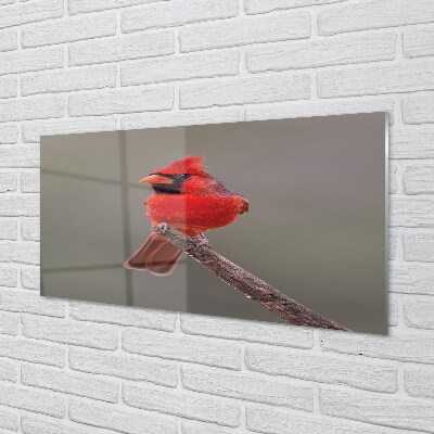 Üvegképek Piros papagáj egy ágon