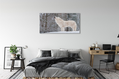 Üvegképek Wolf téli erdőben