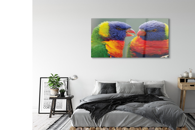 Üvegképek színes papagáj